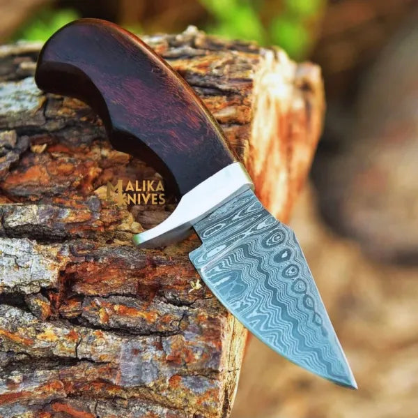Mini Damascus Hunting Knife with Rosewood Handle