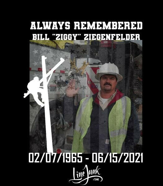 In Memory Of Ziggy